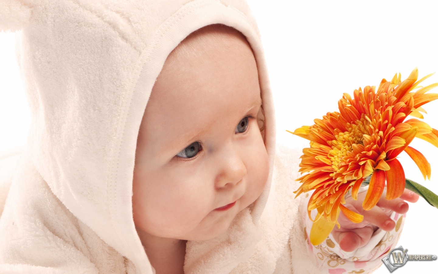 Ребёнок с цветком 1440x900