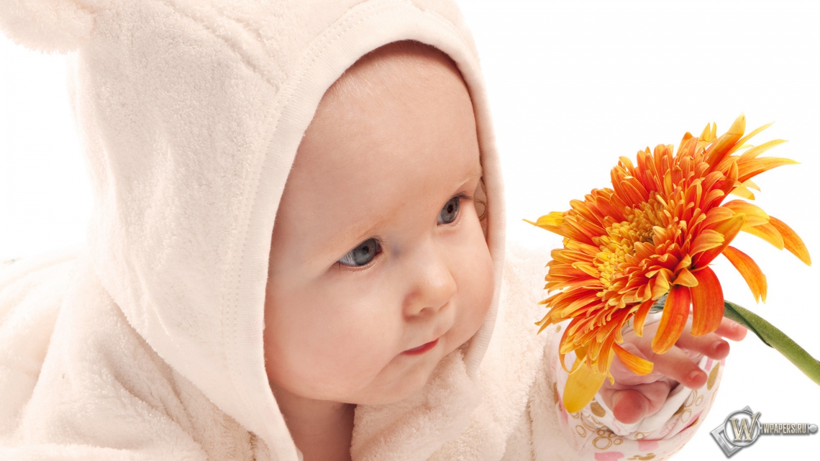 Ребёнок с цветком 1600x900