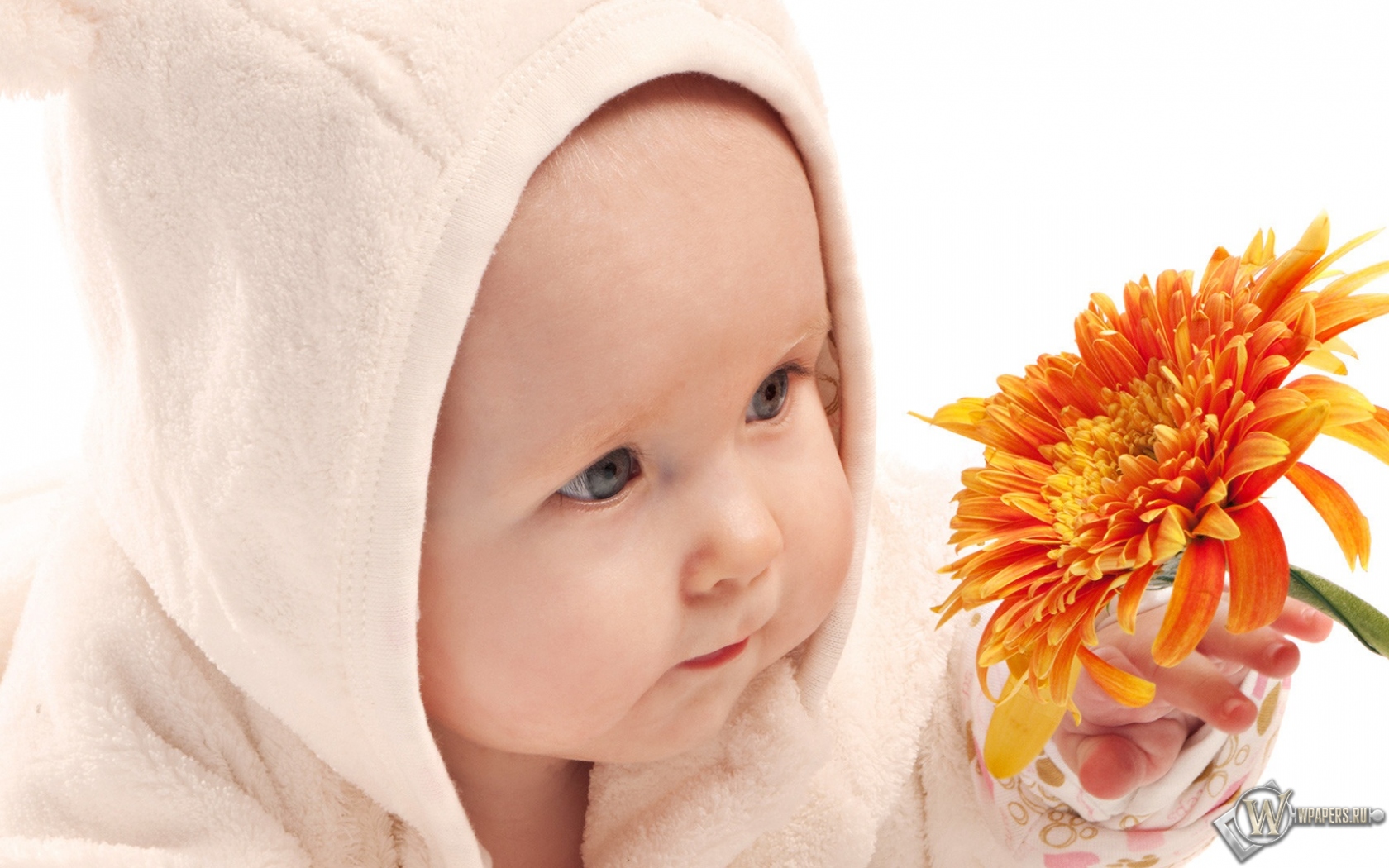 Ребёнок с цветком 1680x1050