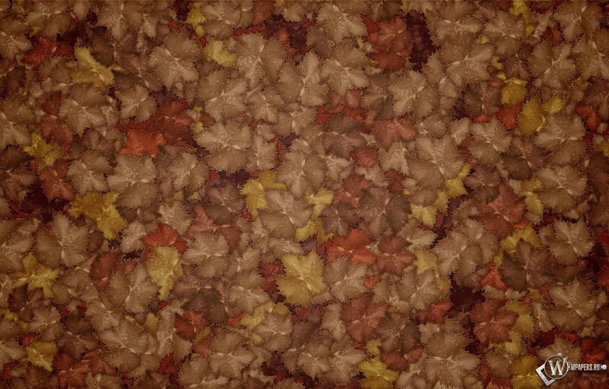 Осенние листья 1200x768