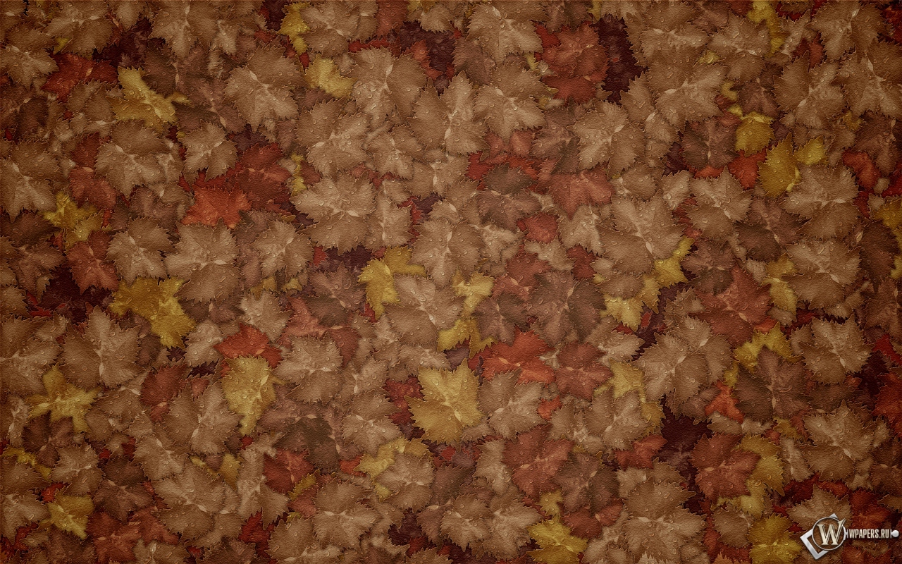 Осенние листья 1280x800
