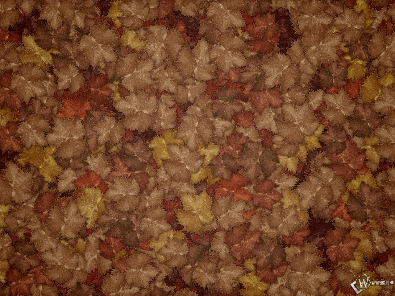 Осенние листья 1280x960