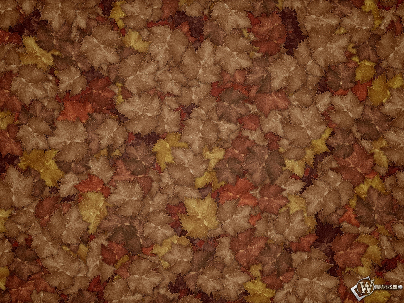Осенние листья 1600x1200