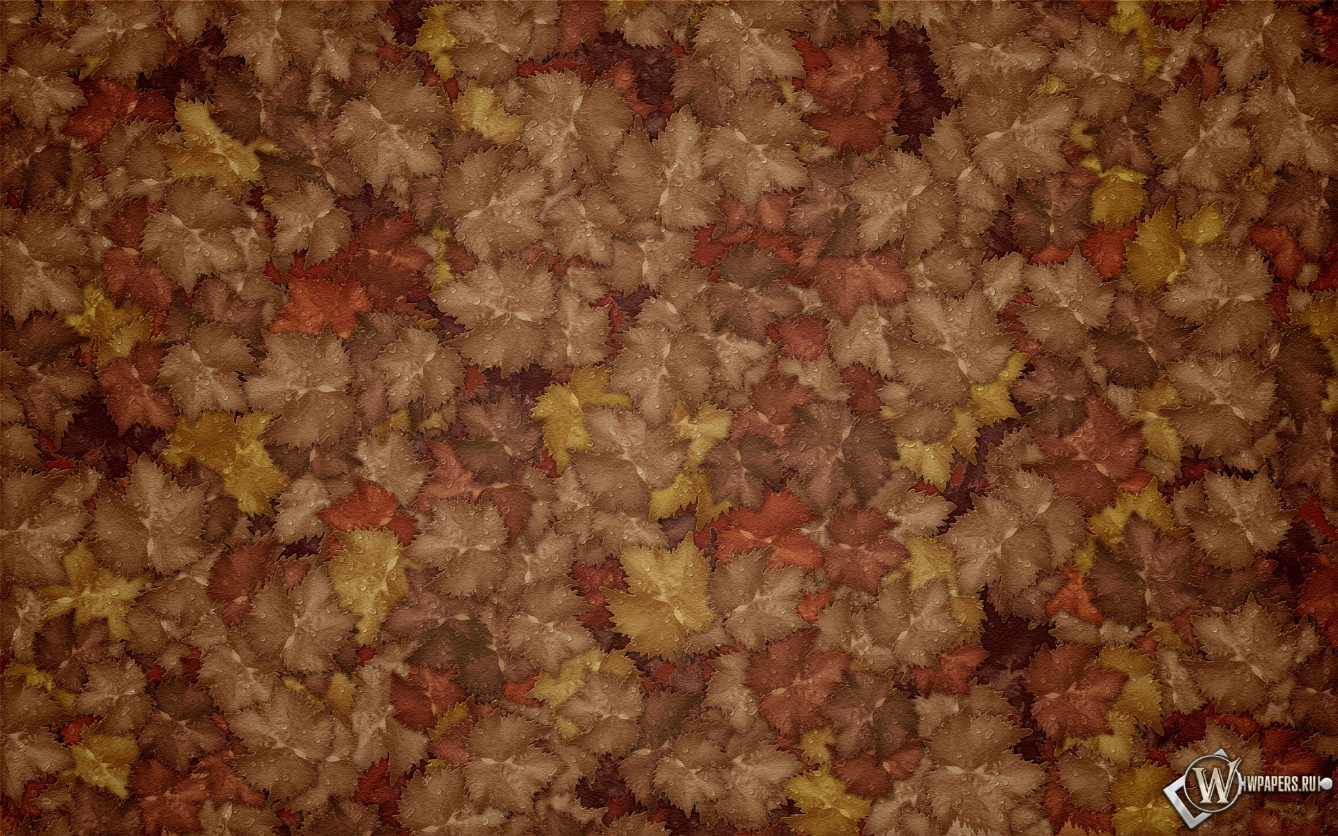 Осенние листья 1920x1200