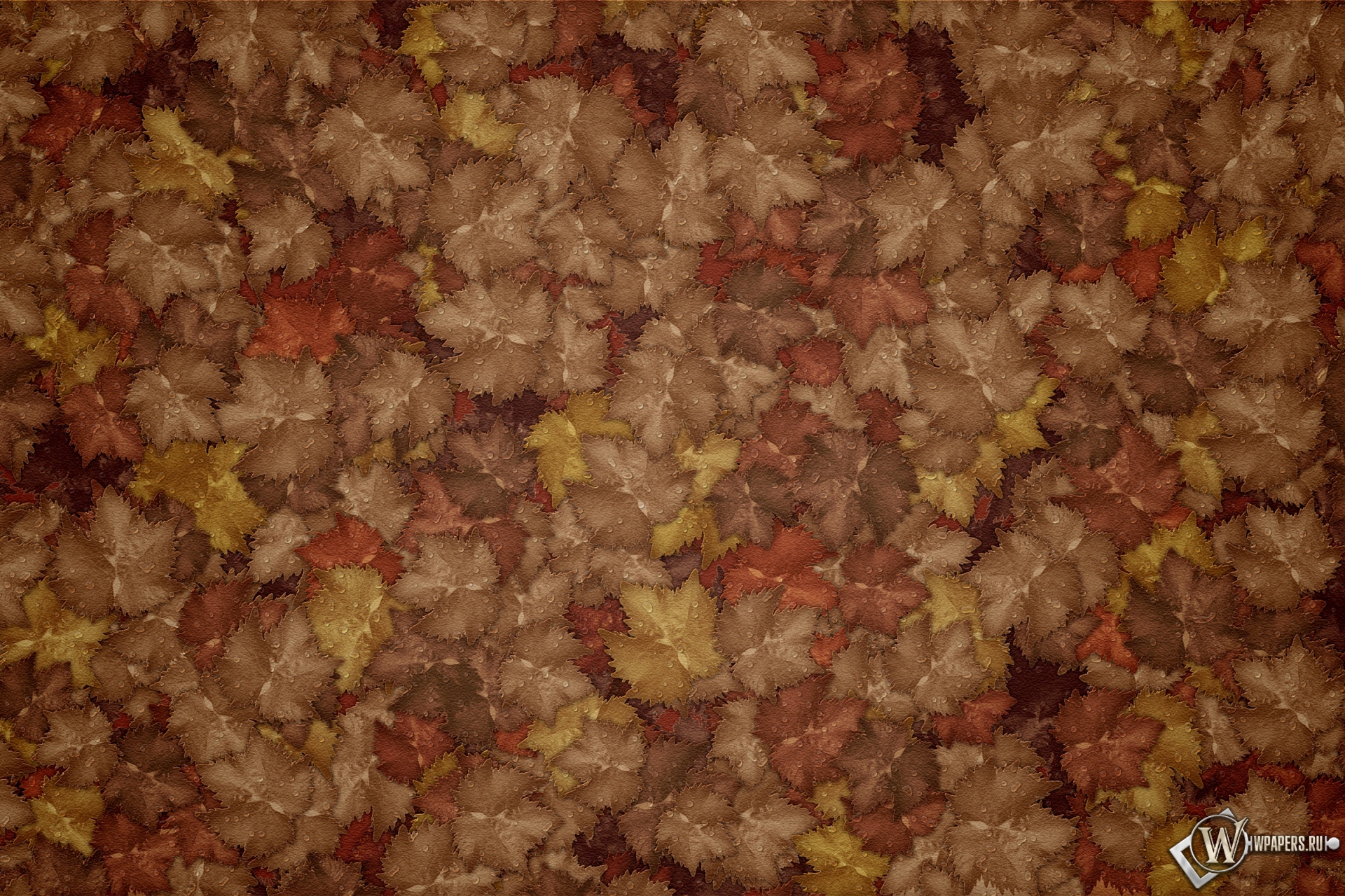 Осенние листья 1920x1280