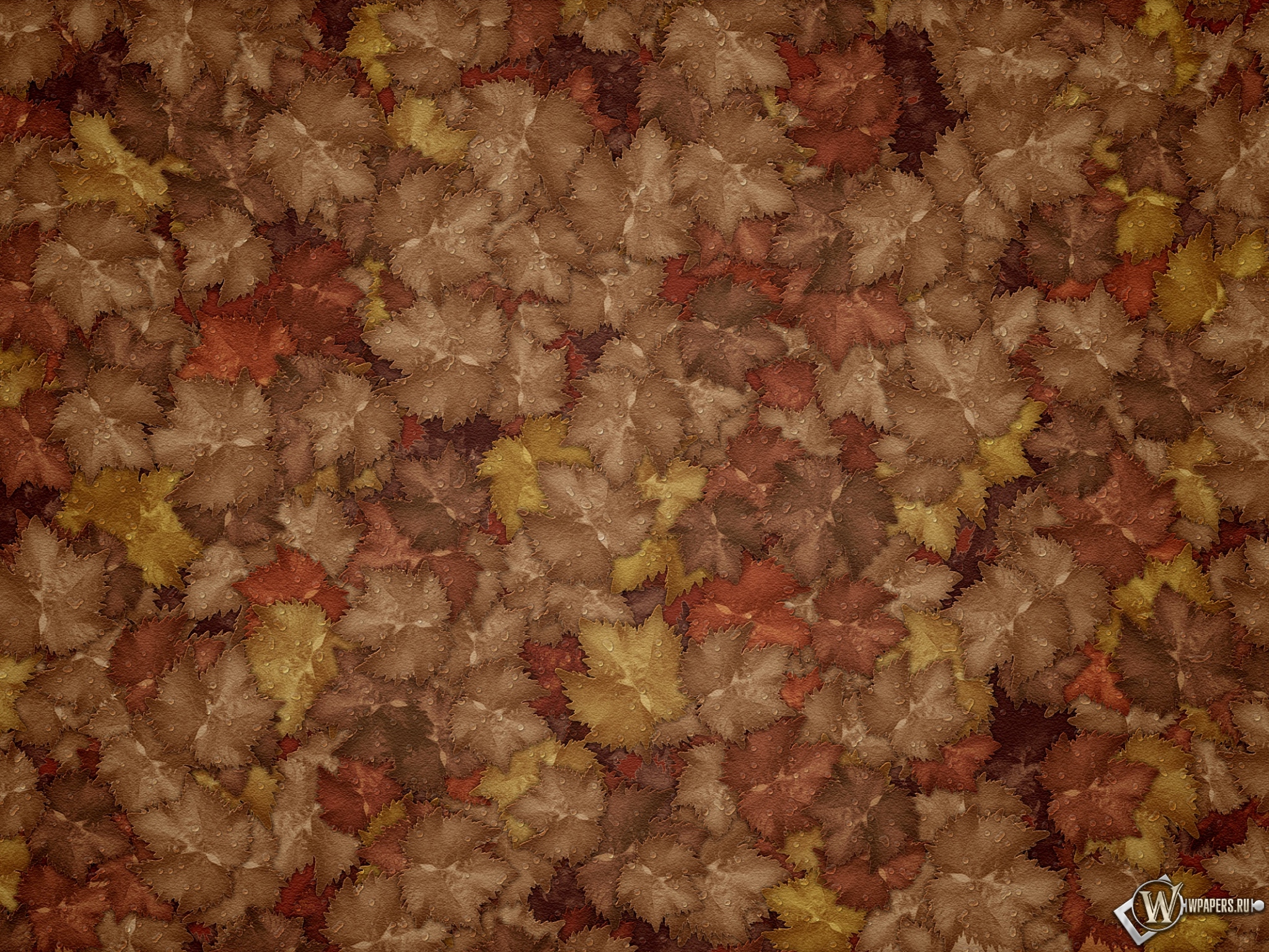 Осенние листья 2048x1536