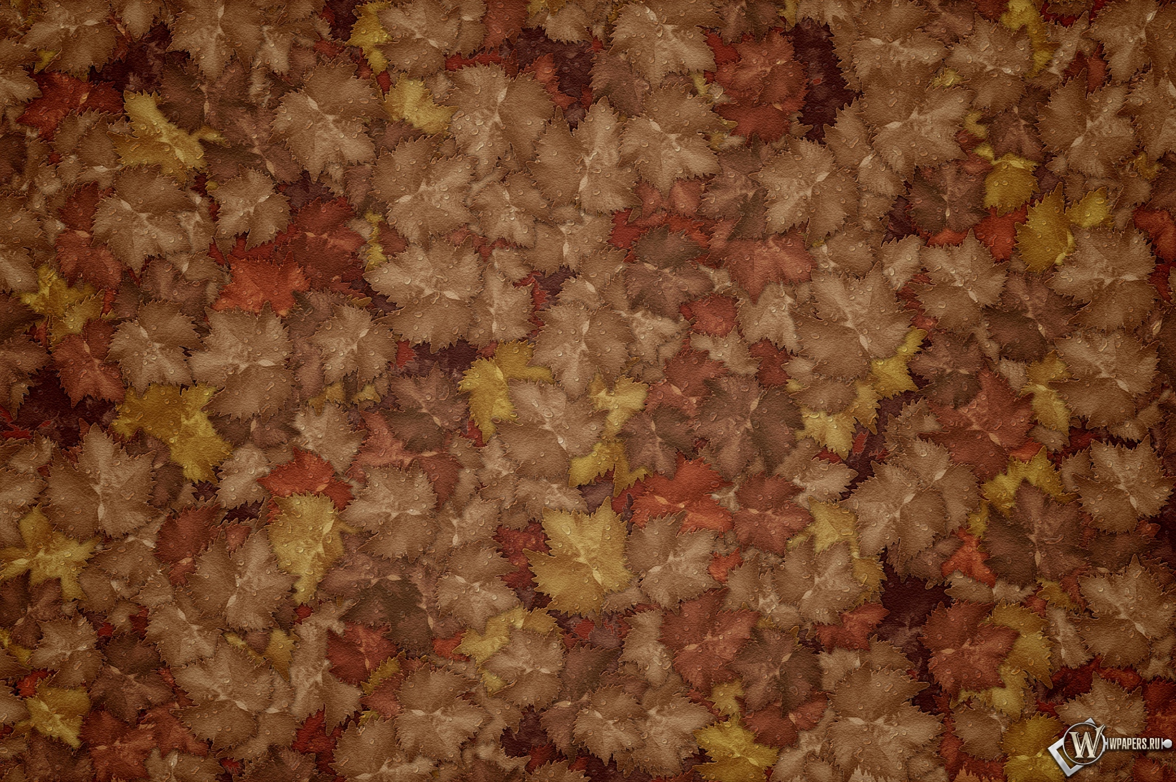 Осенние листья 2300x1530