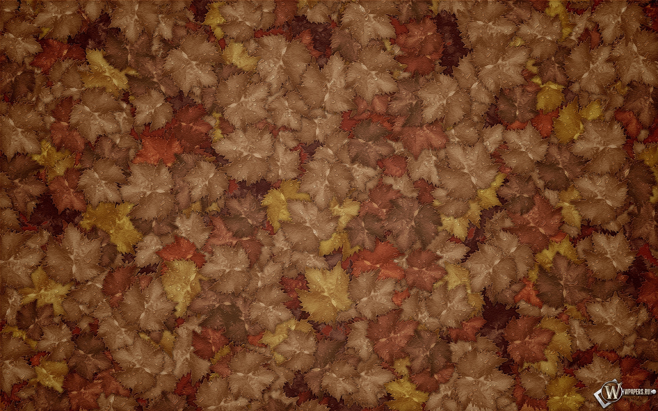 Осенние листья 2560x1600