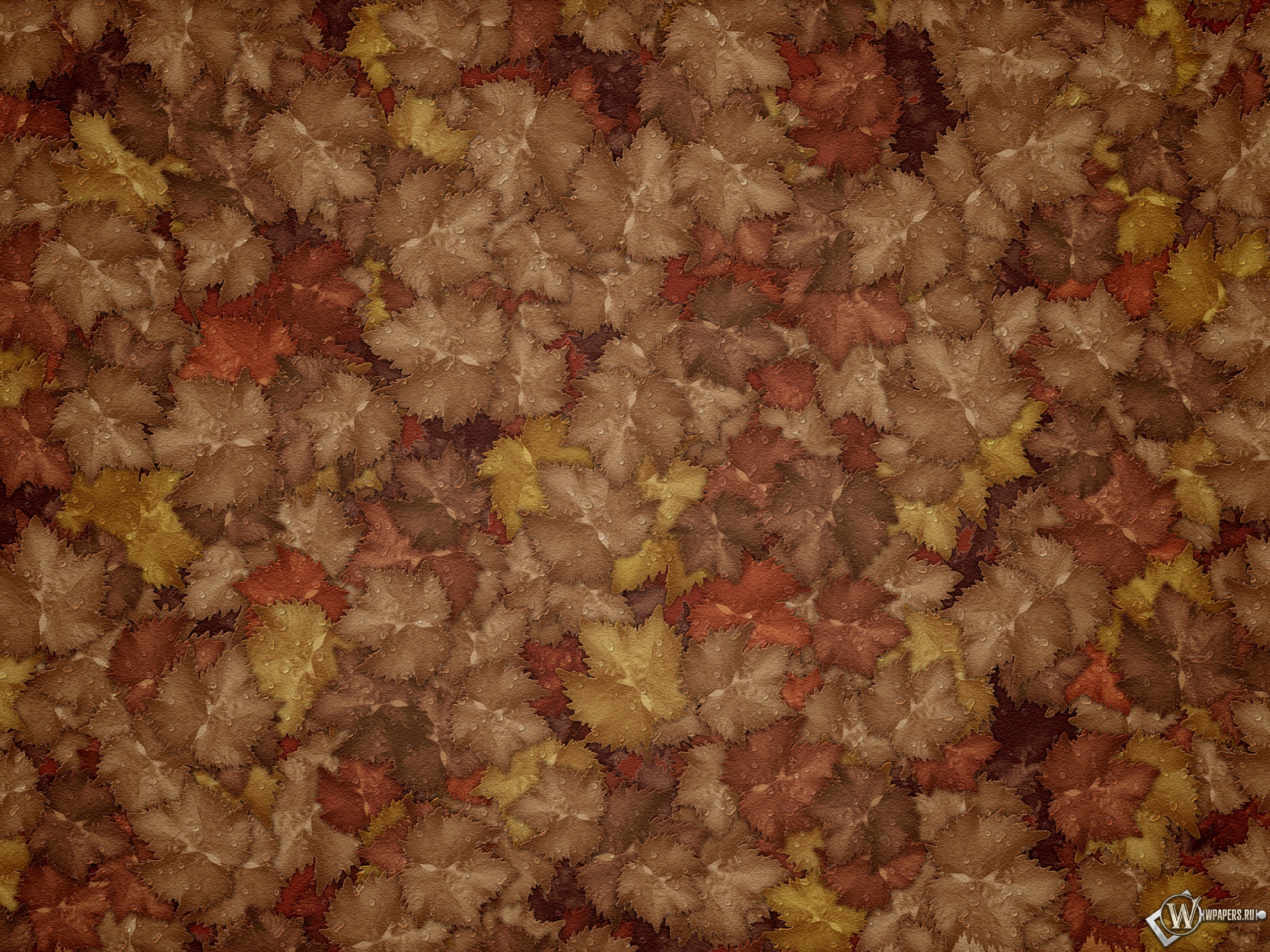 Осенние листья 2560x1920