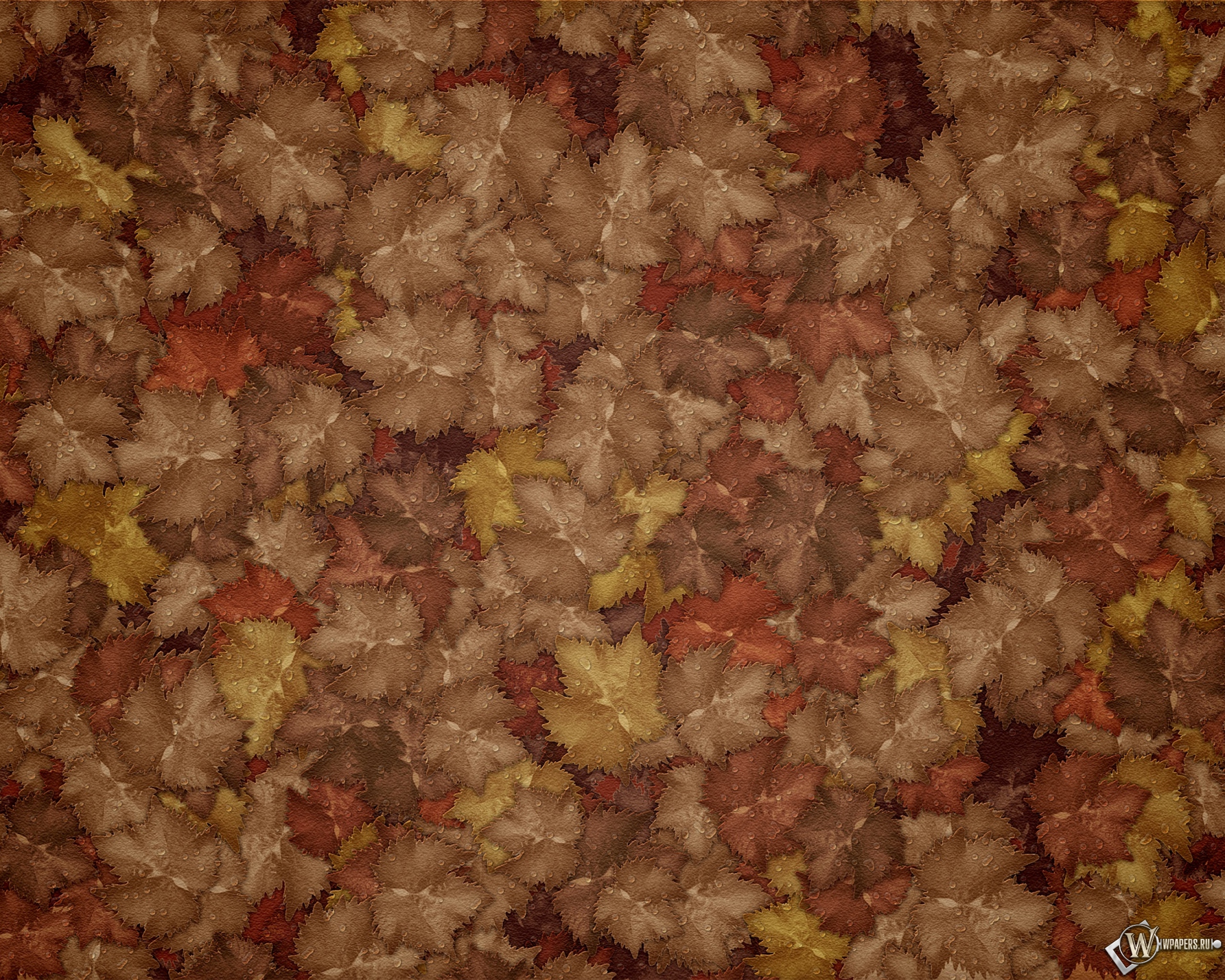 Осенние листья 2560x2048