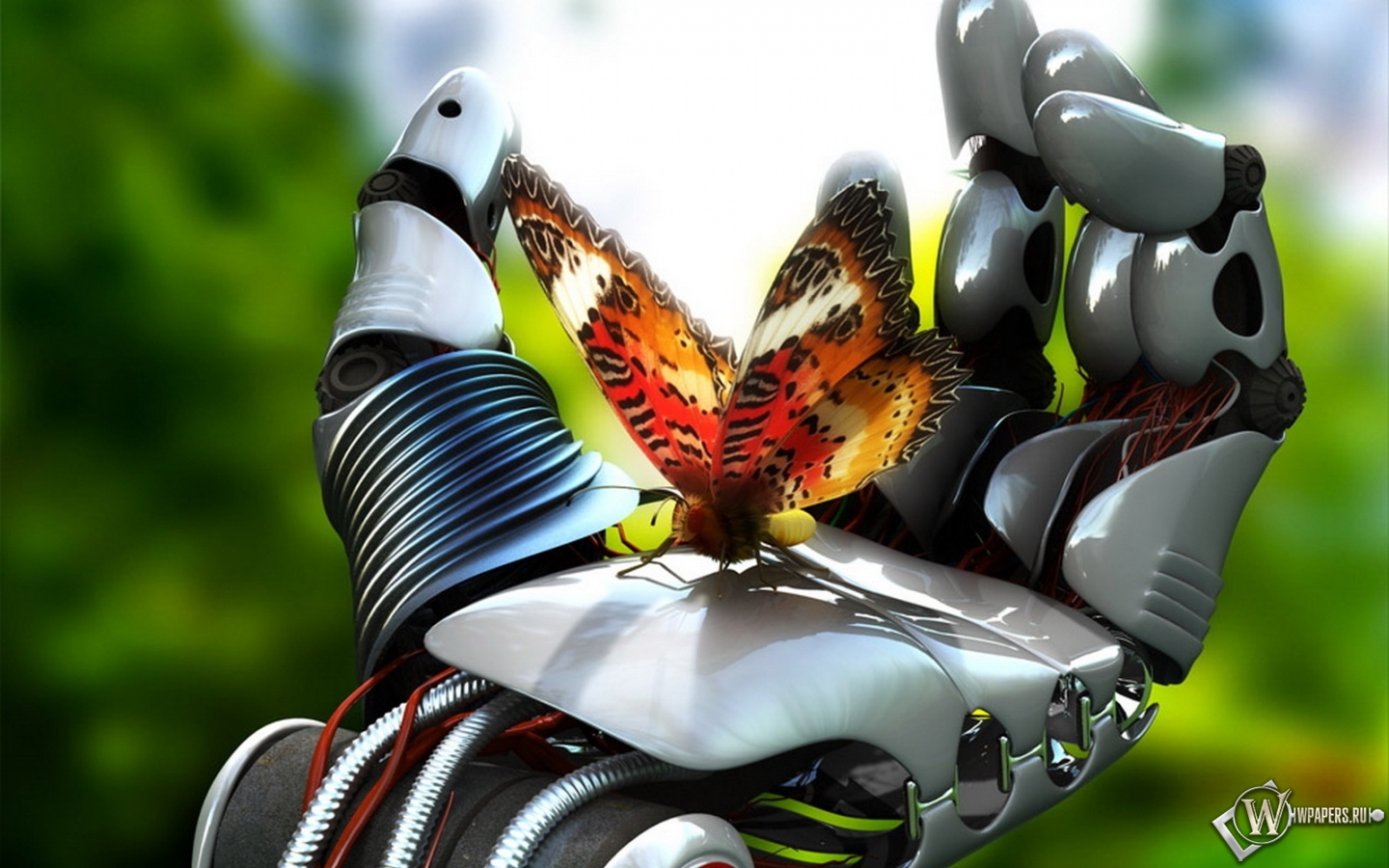 Робот с бабочкой 1440x900