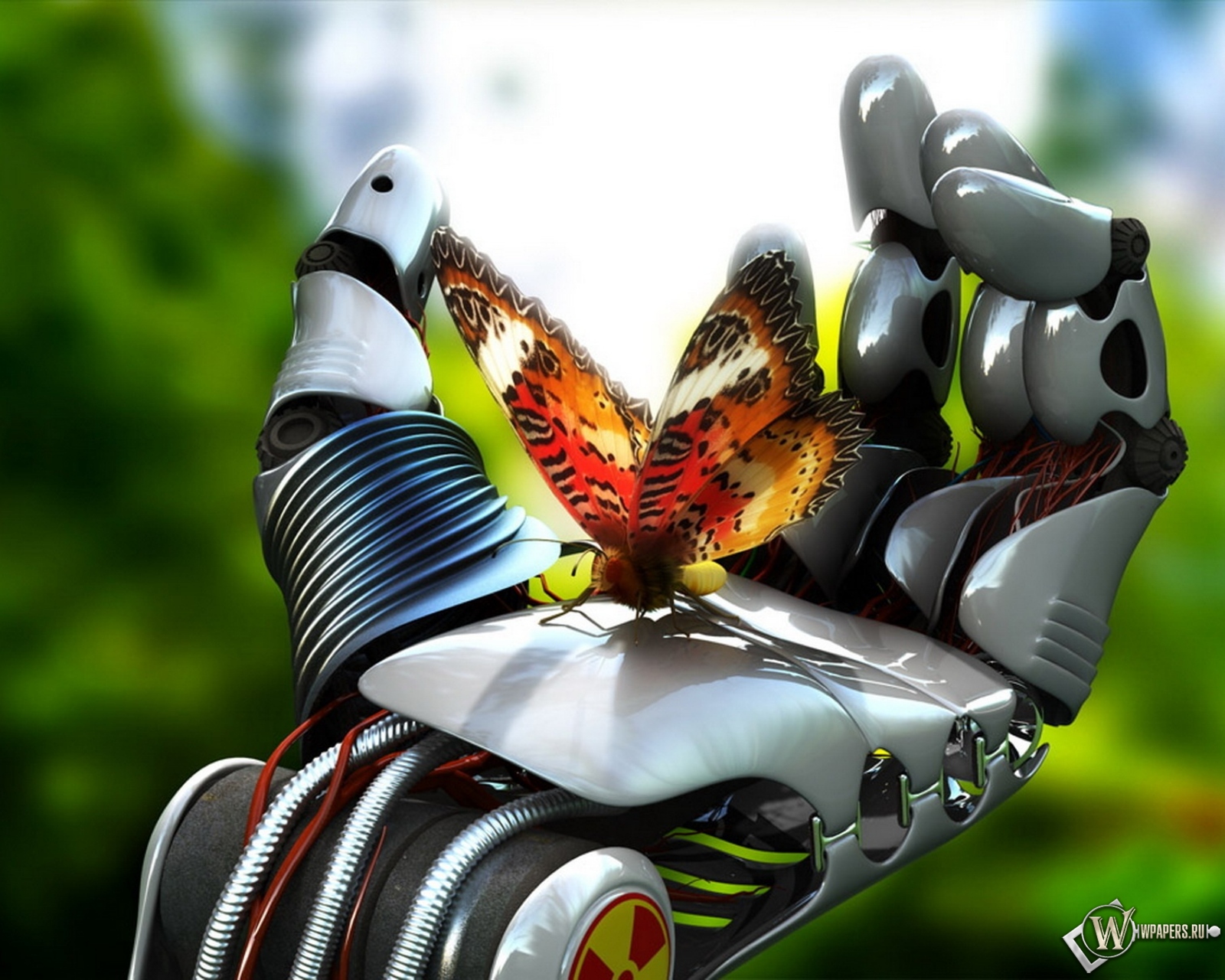 Робот с бабочкой 1600x1280