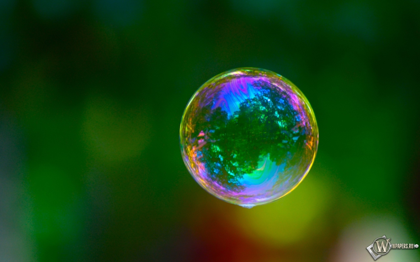 Мыльный пузырь 1440x900