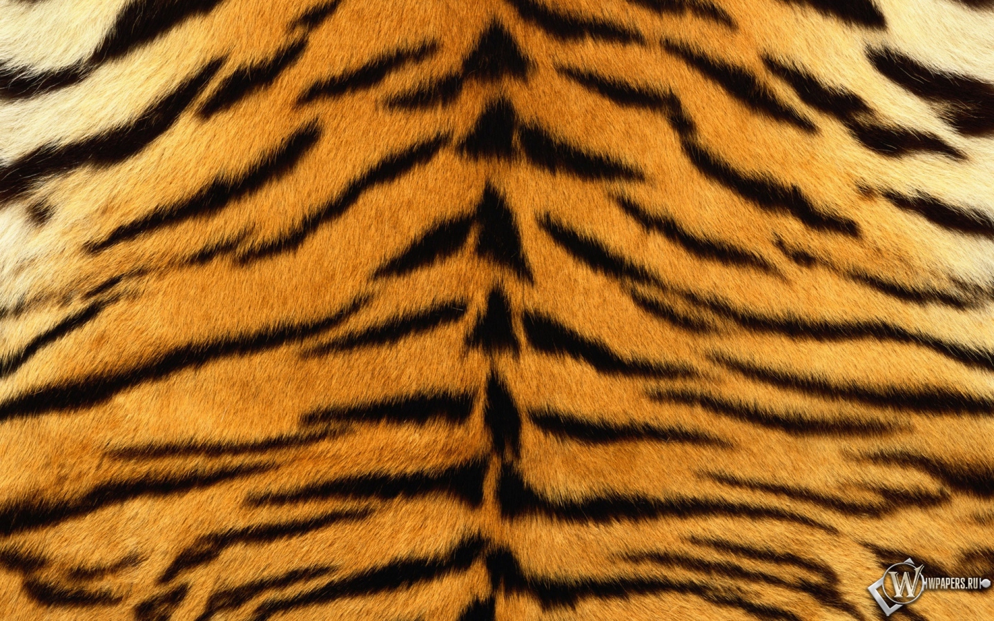 Шкура тигра 1440x900