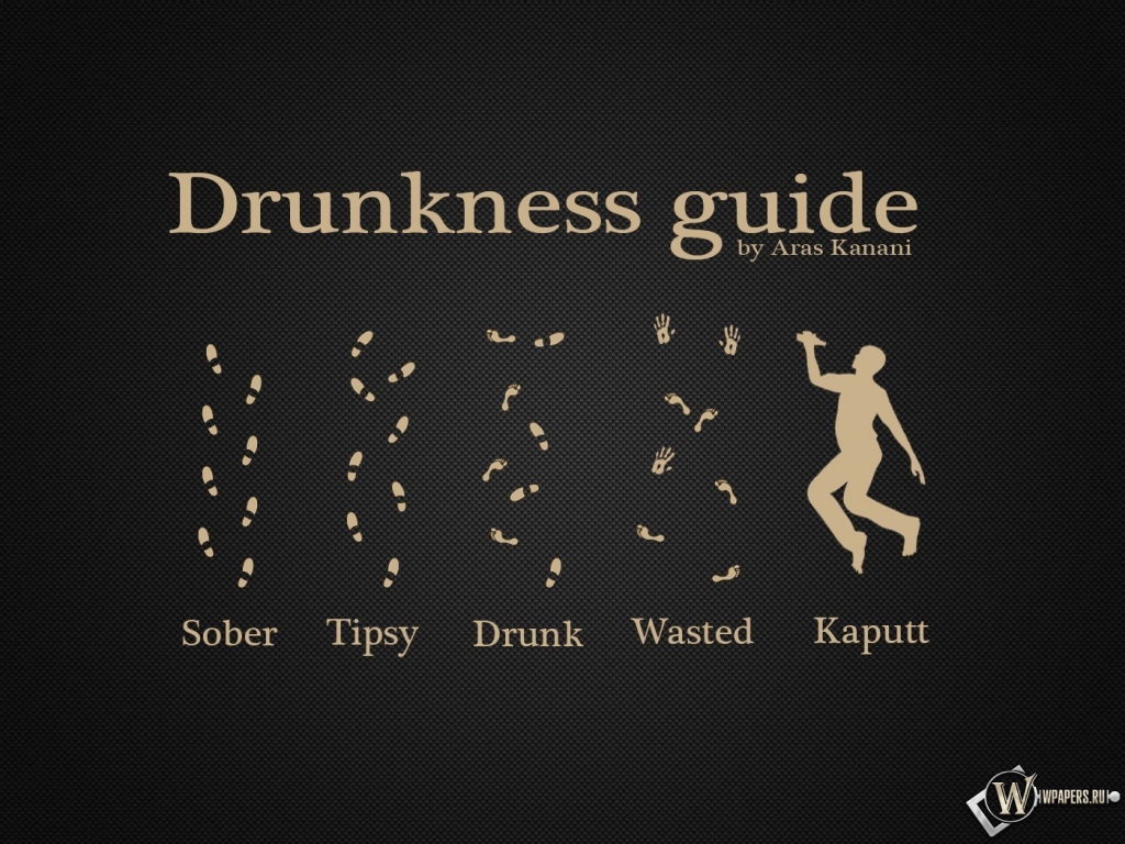 Drunkness Guide 1024x768
