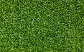 Обои Английский газон: Зелень, Трава, Лето, Разное