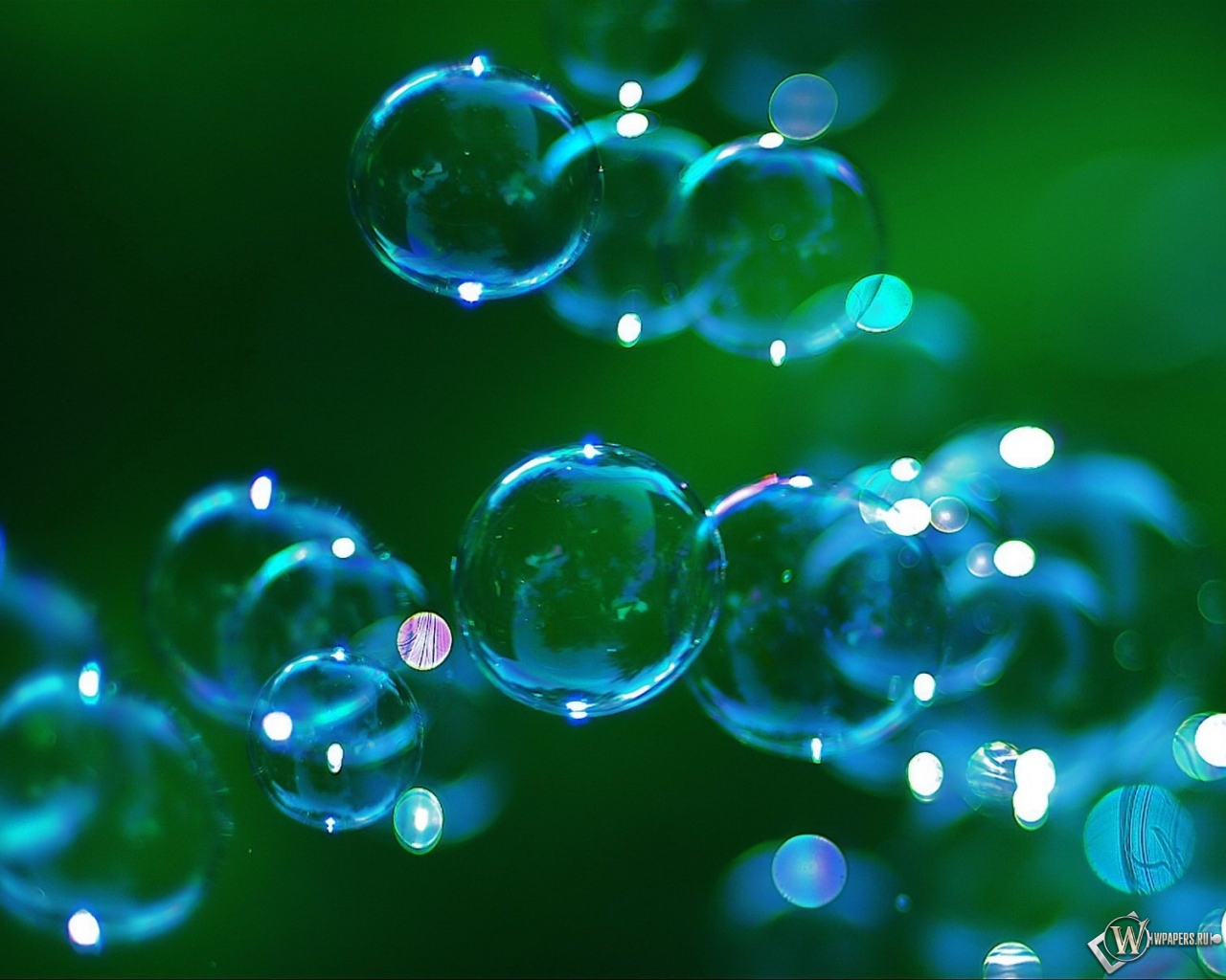 Мыльные пузыри 1280x1024