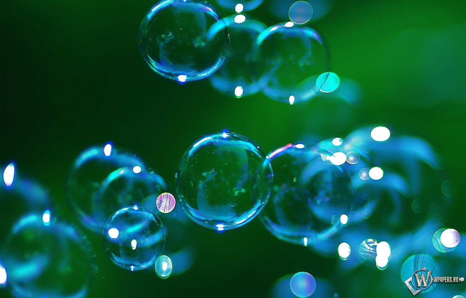 Мыльные пузыри 1600x1024