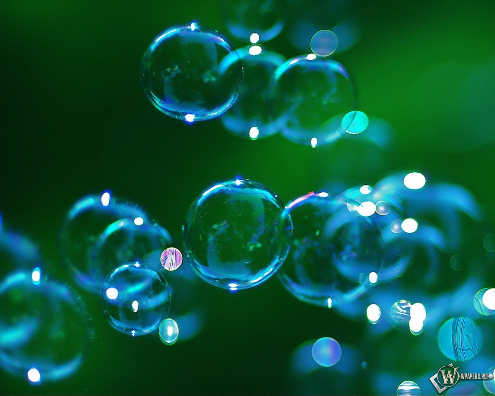 Фото с мыльными пузырями на природе