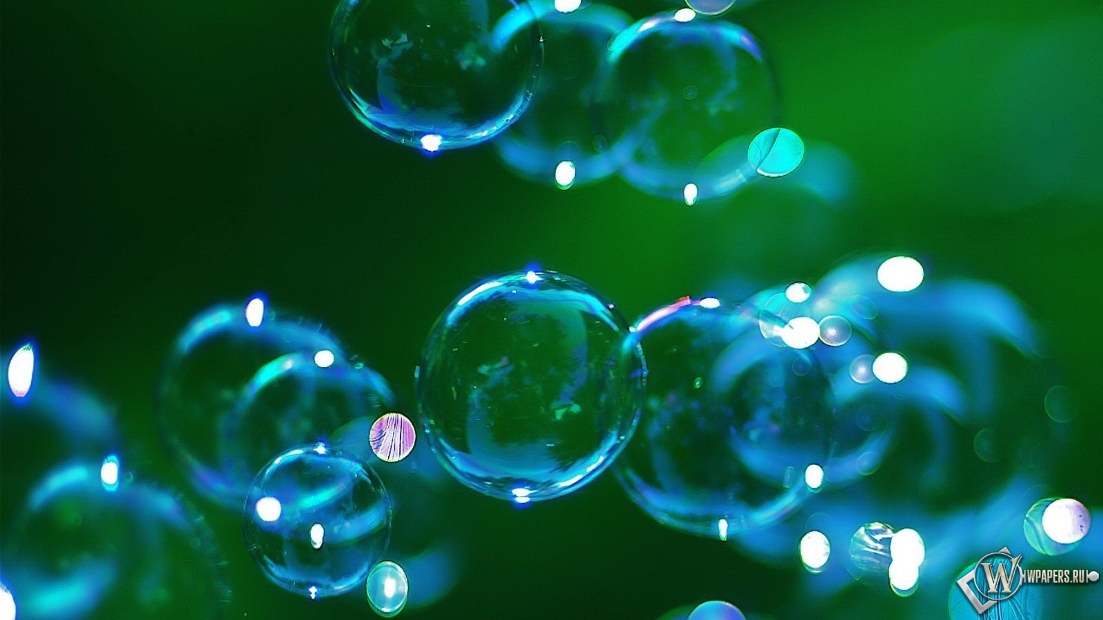Мыльные пузыри 1600x900