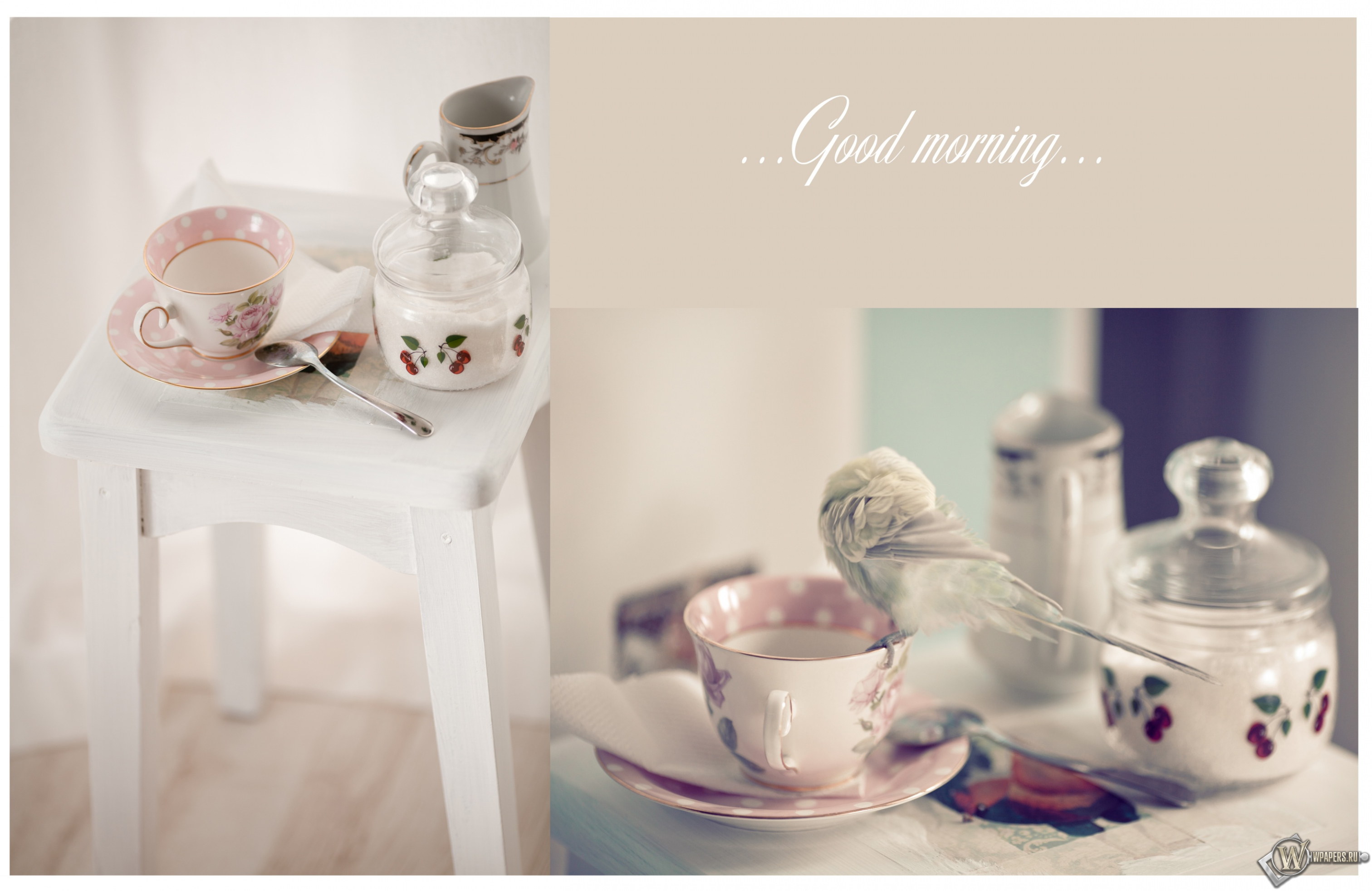 Good morning 3024x1964