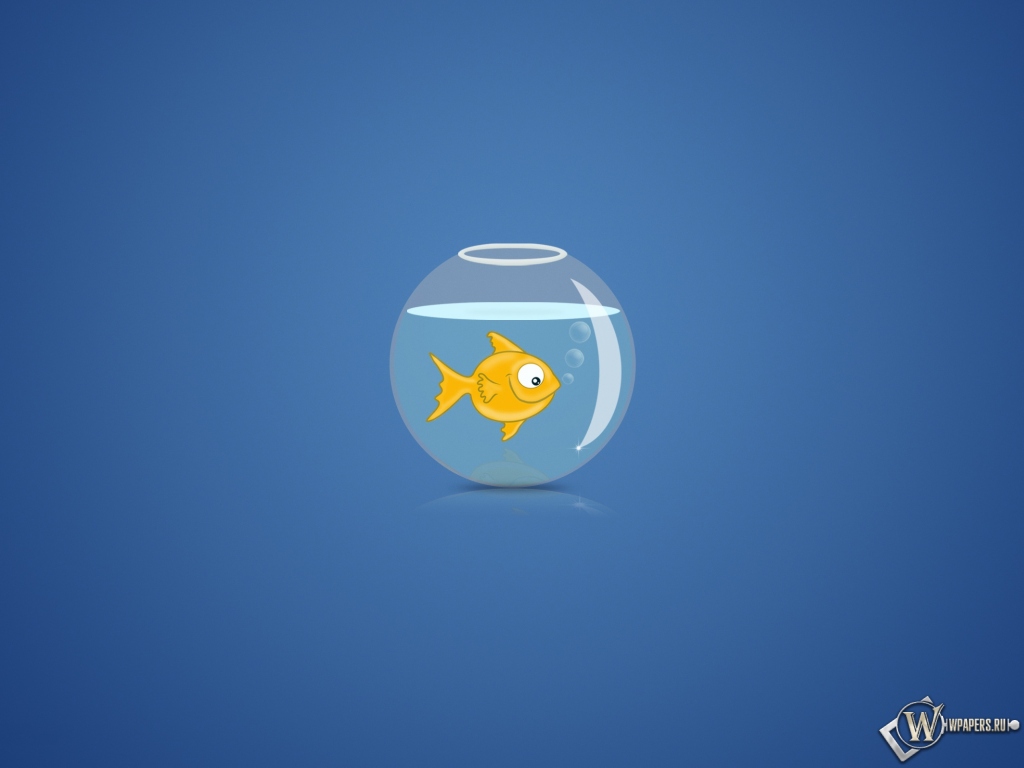 Рыбка в аквариуме 1024x768