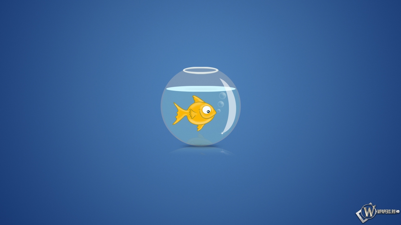 Рыбка в аквариуме 1280x720
