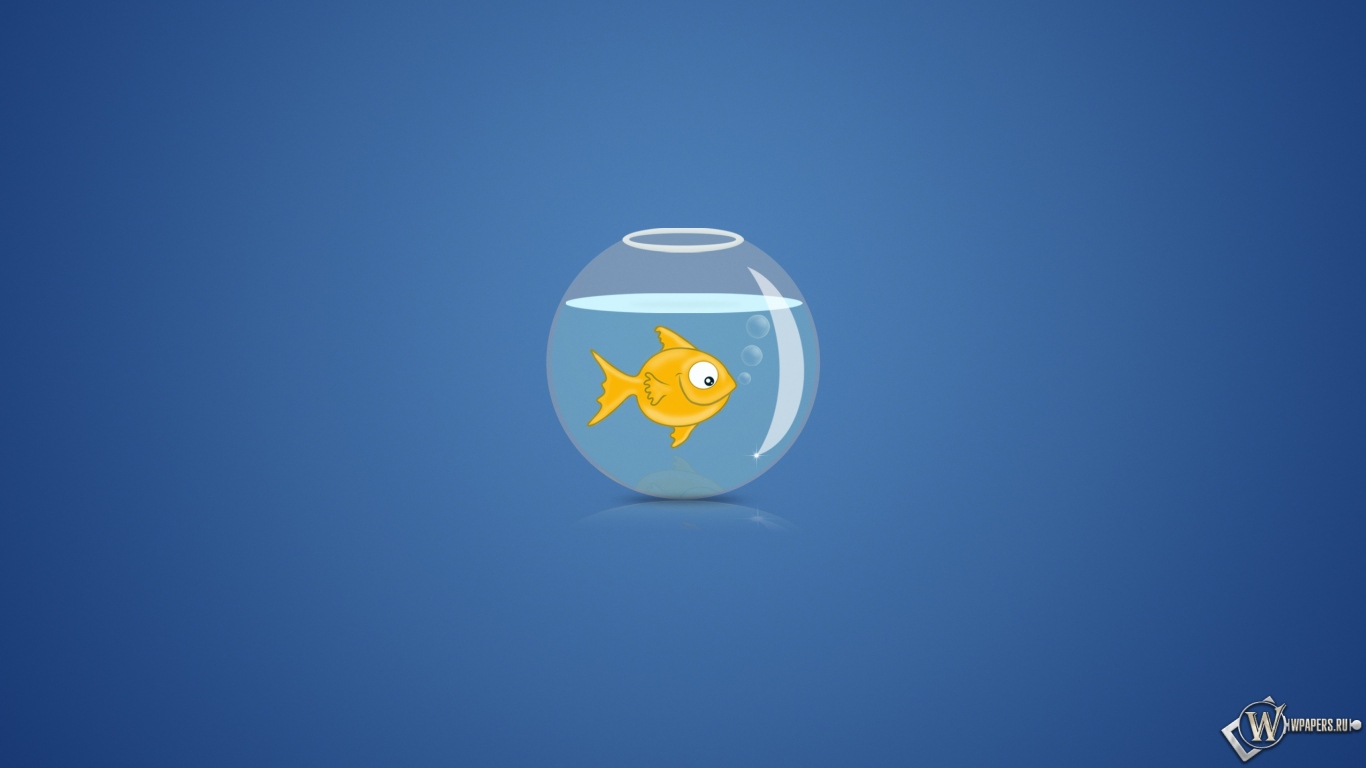 Рыбка в аквариуме 1366x768