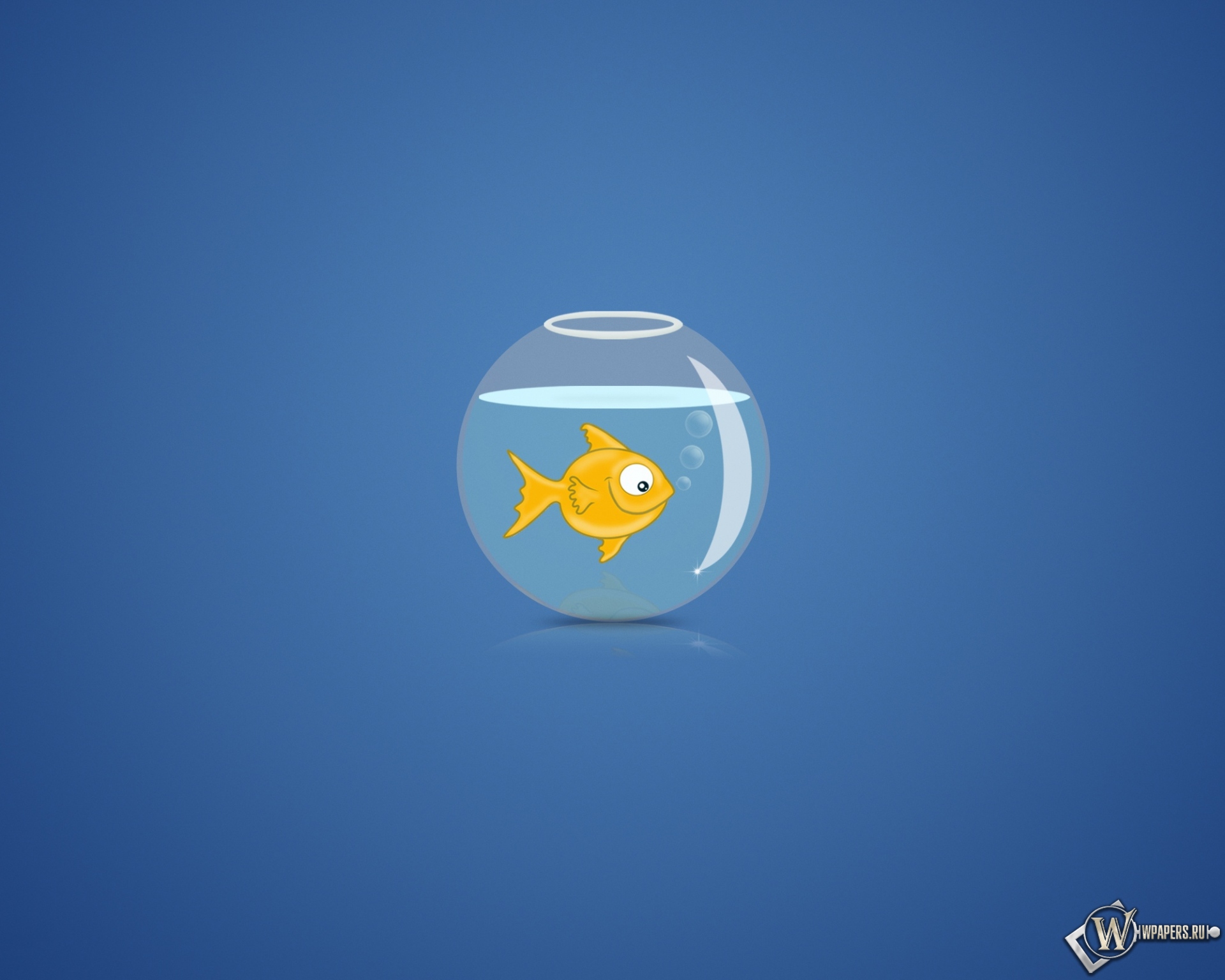 Рыбка в аквариуме 1920x1536