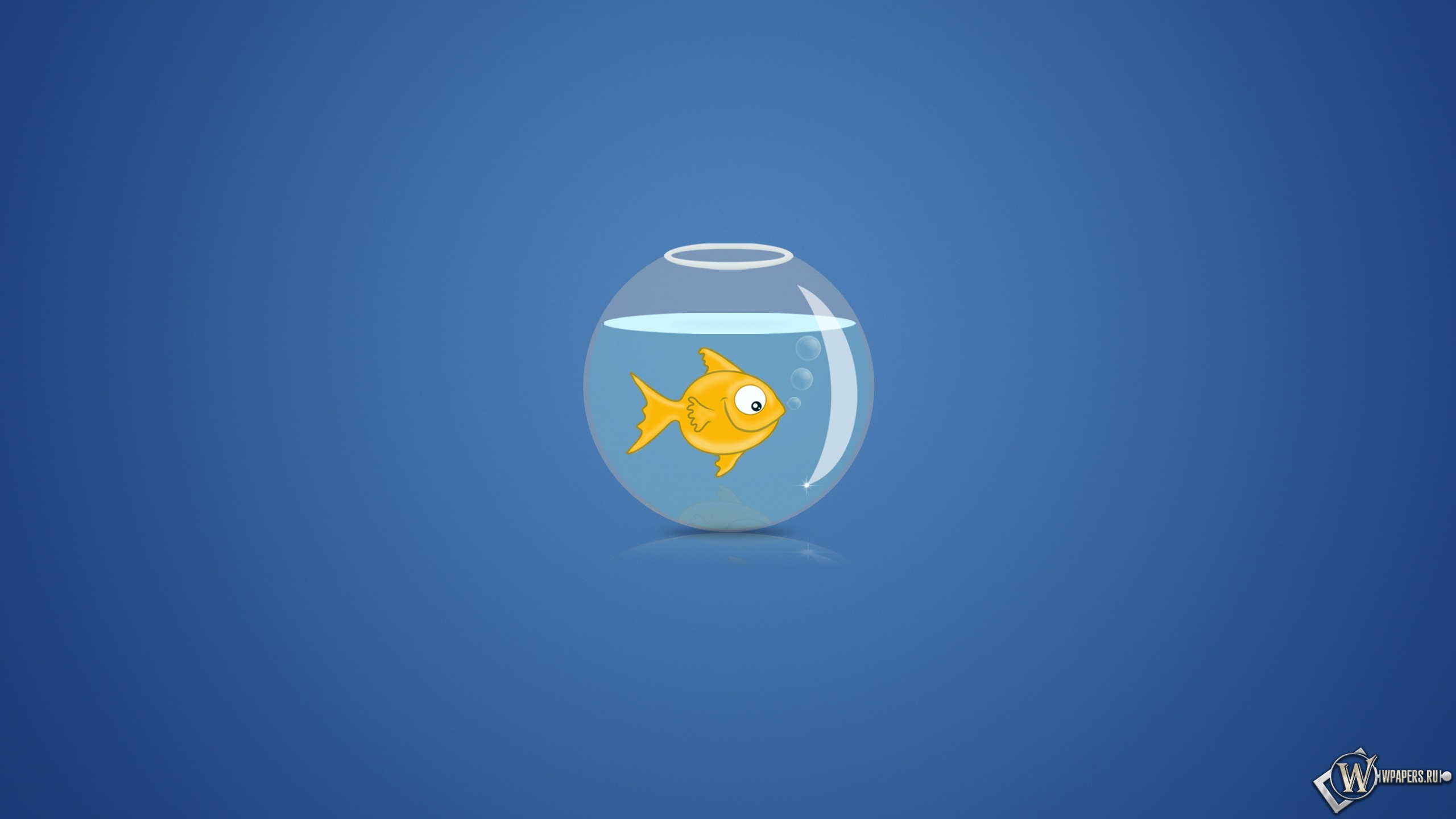 Рыбка в аквариуме 2560x1440