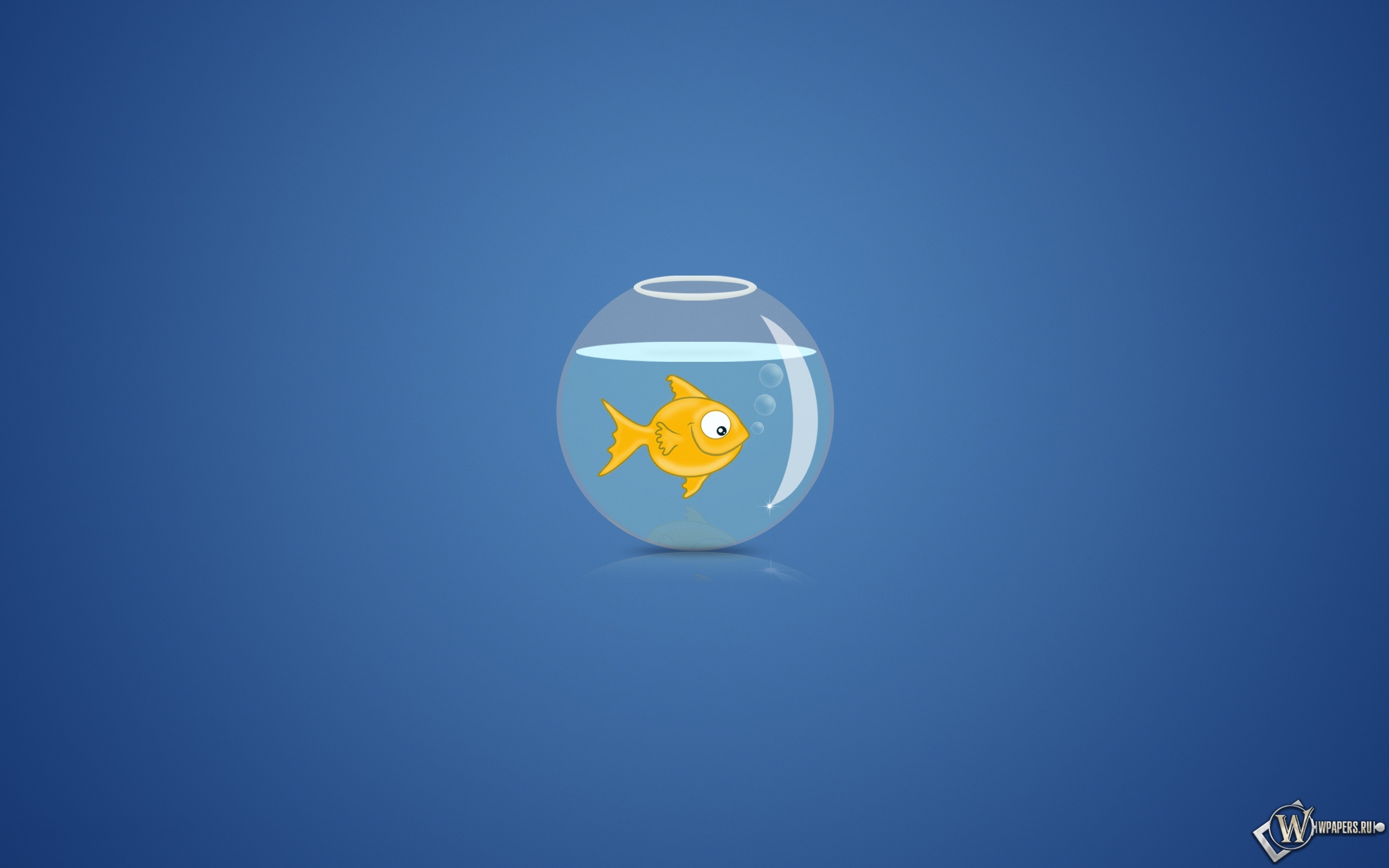 Рыбка в аквариуме 2560x1600