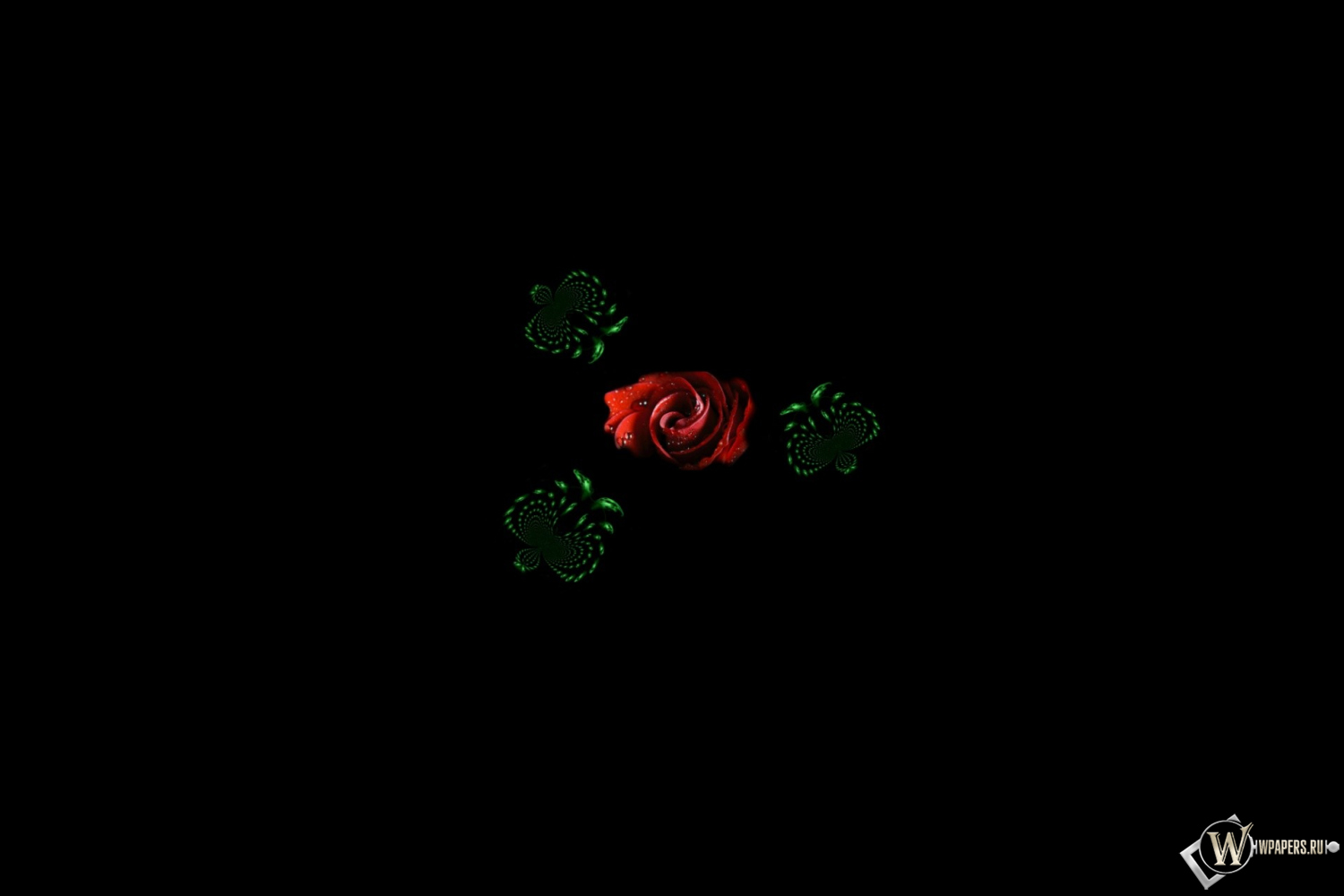 Волшебные бабочки 1500x1000