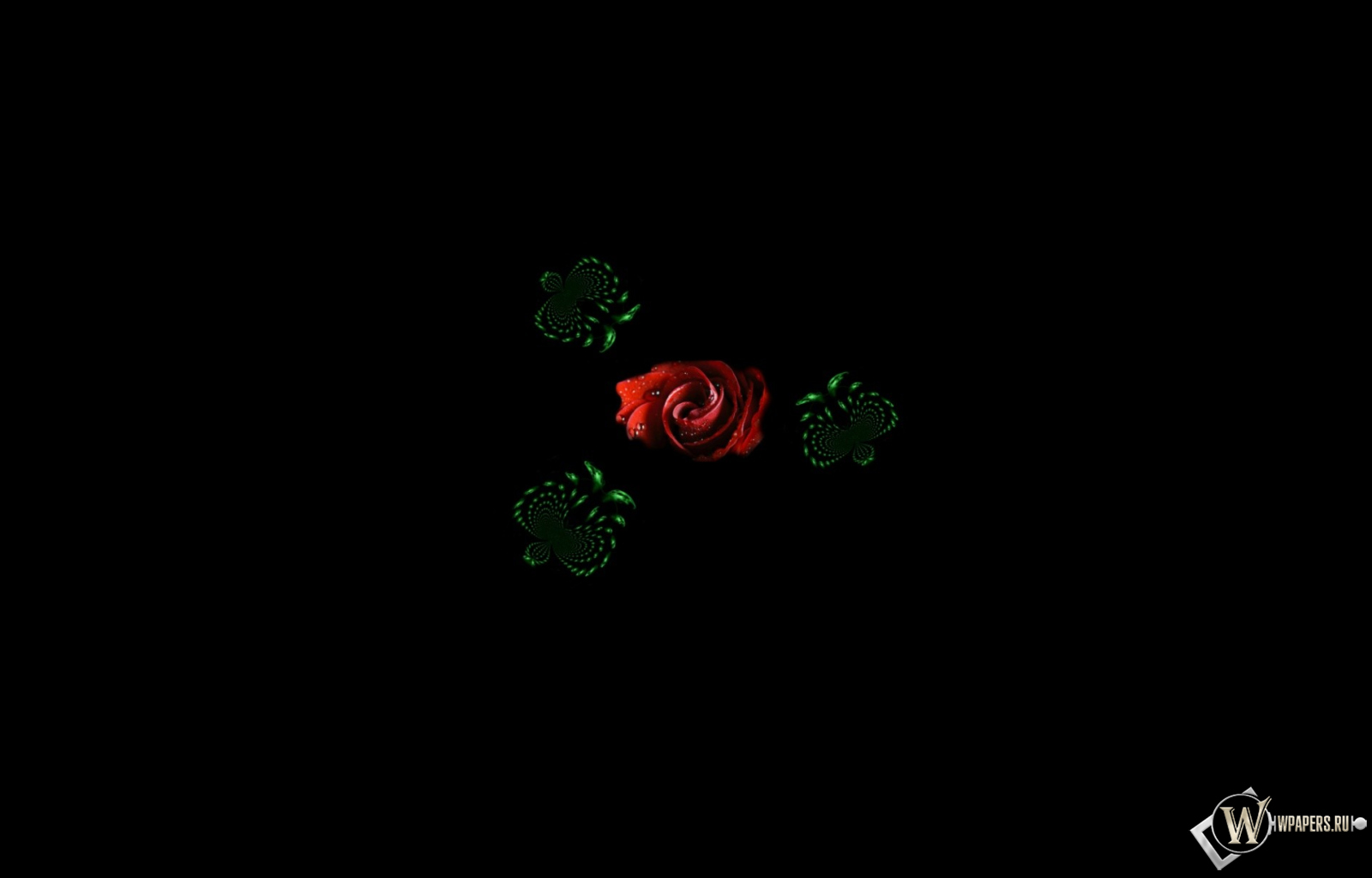 Волшебные бабочки 1600x1024
