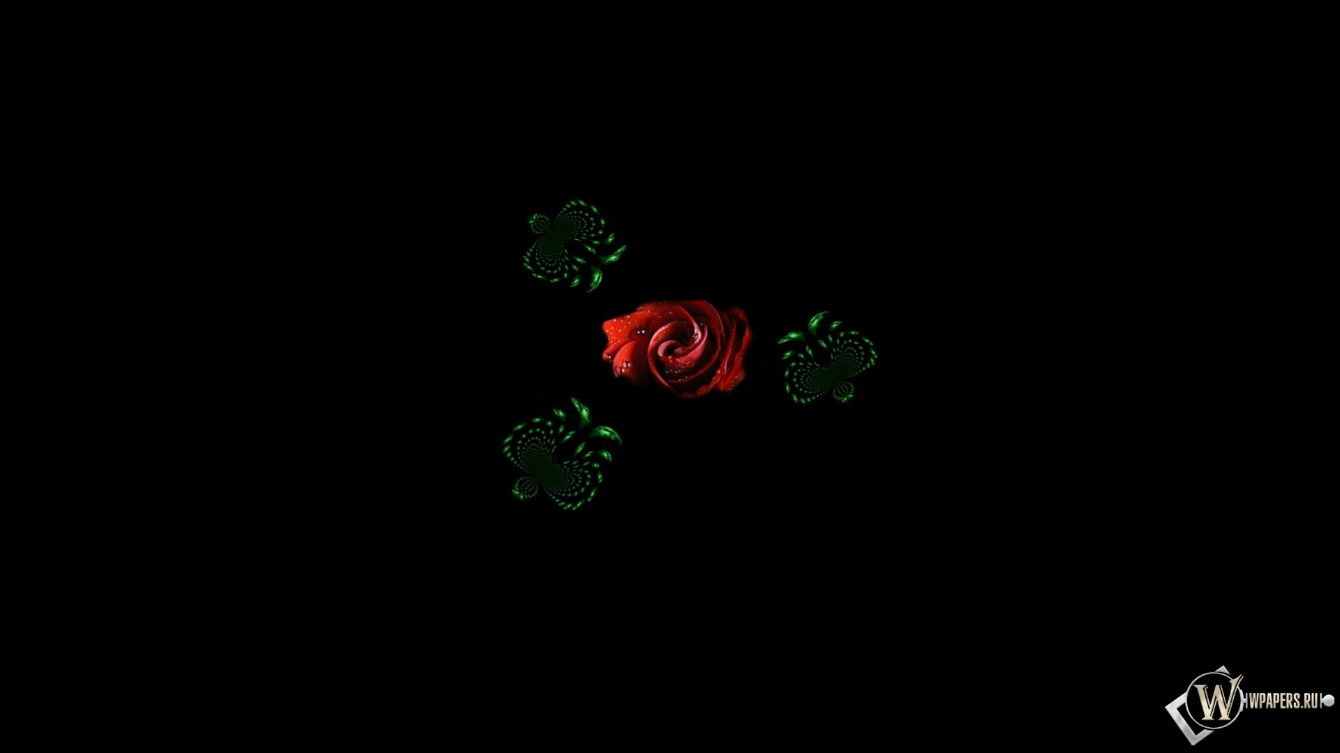 Волшебные бабочки 1920x1080