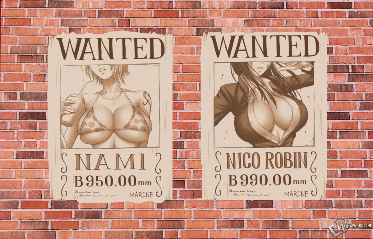 One Piece 1200x768