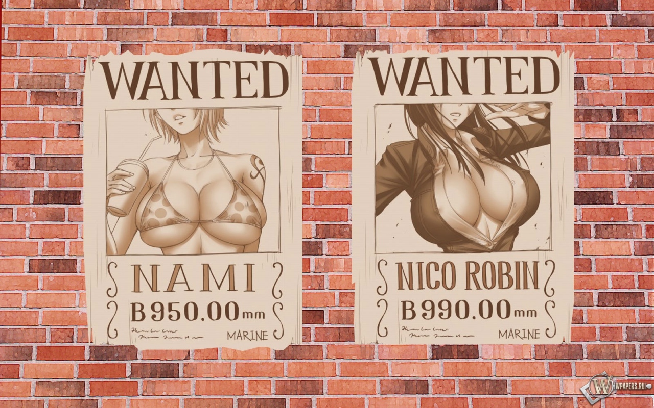 One Piece 1280x800
