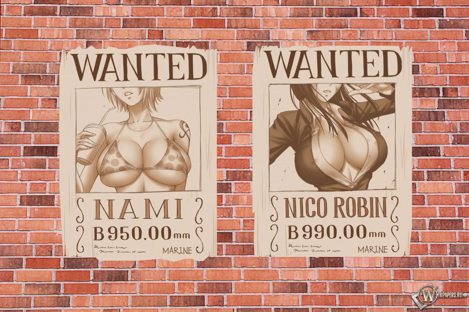 One Piece 1500x1000