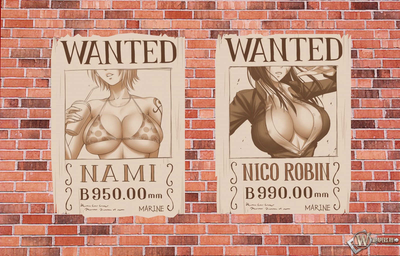 One Piece 1600x1024