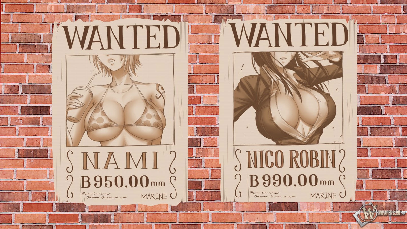 One Piece 1600x900
