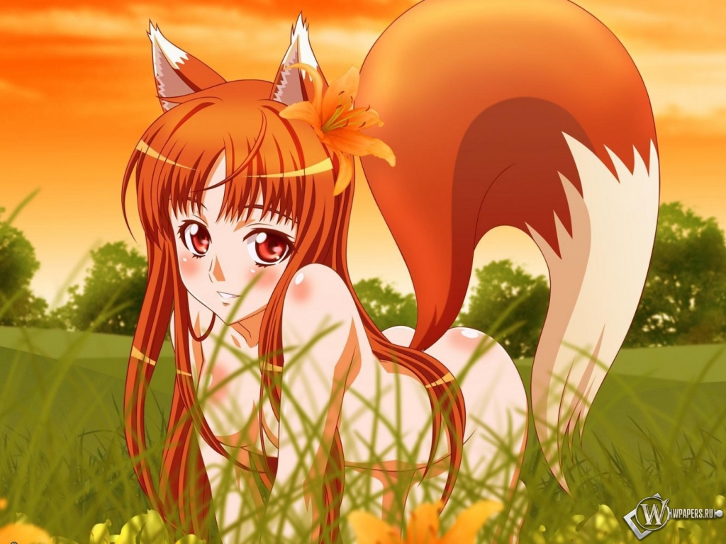 Anime fox girl 1024x768