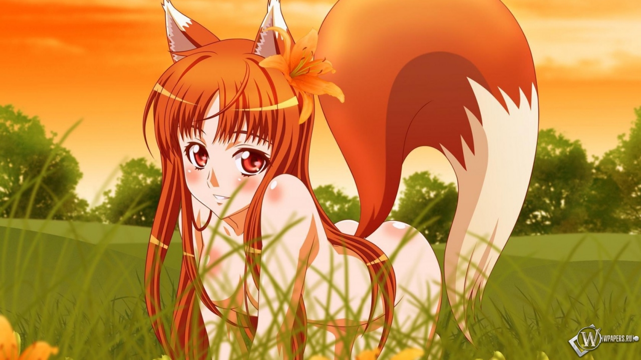 Anime fox girl 1280x720