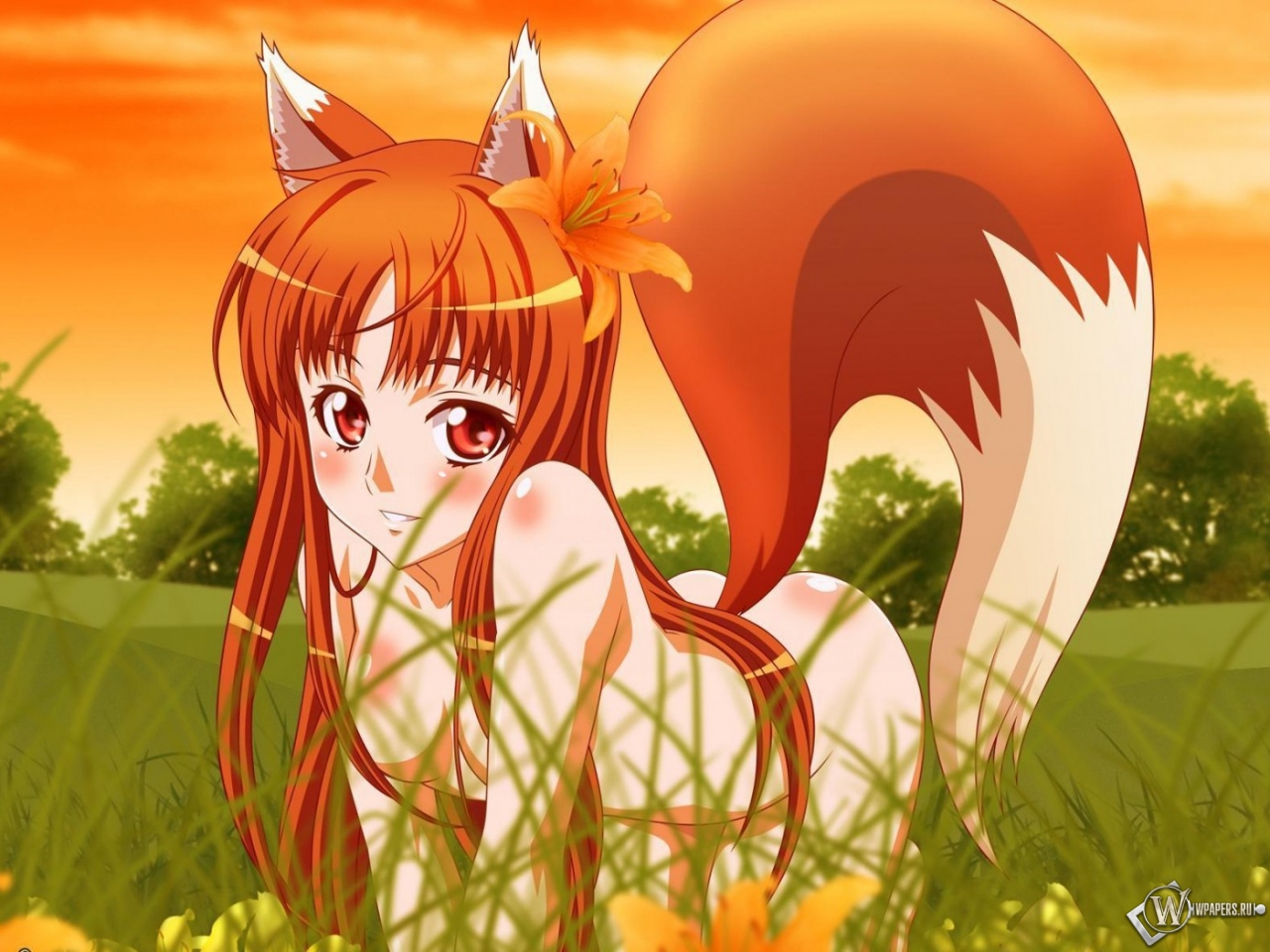 Anime fox girl 1280x960