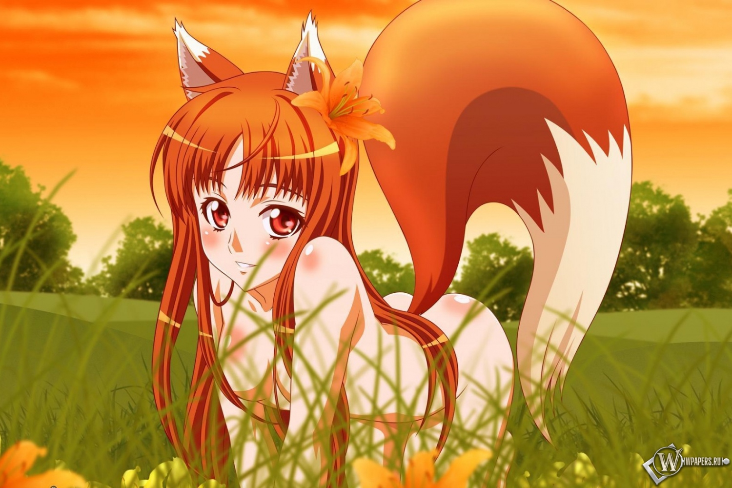 Anime fox girl 1500x1000