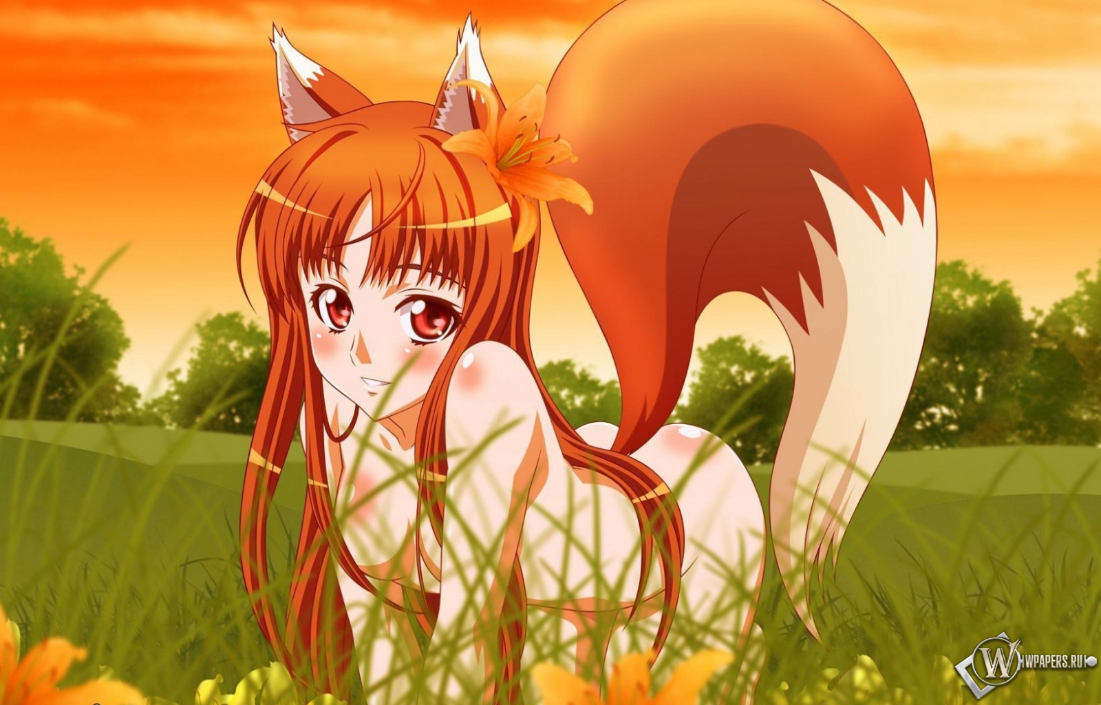 Anime fox girl 1600x1024