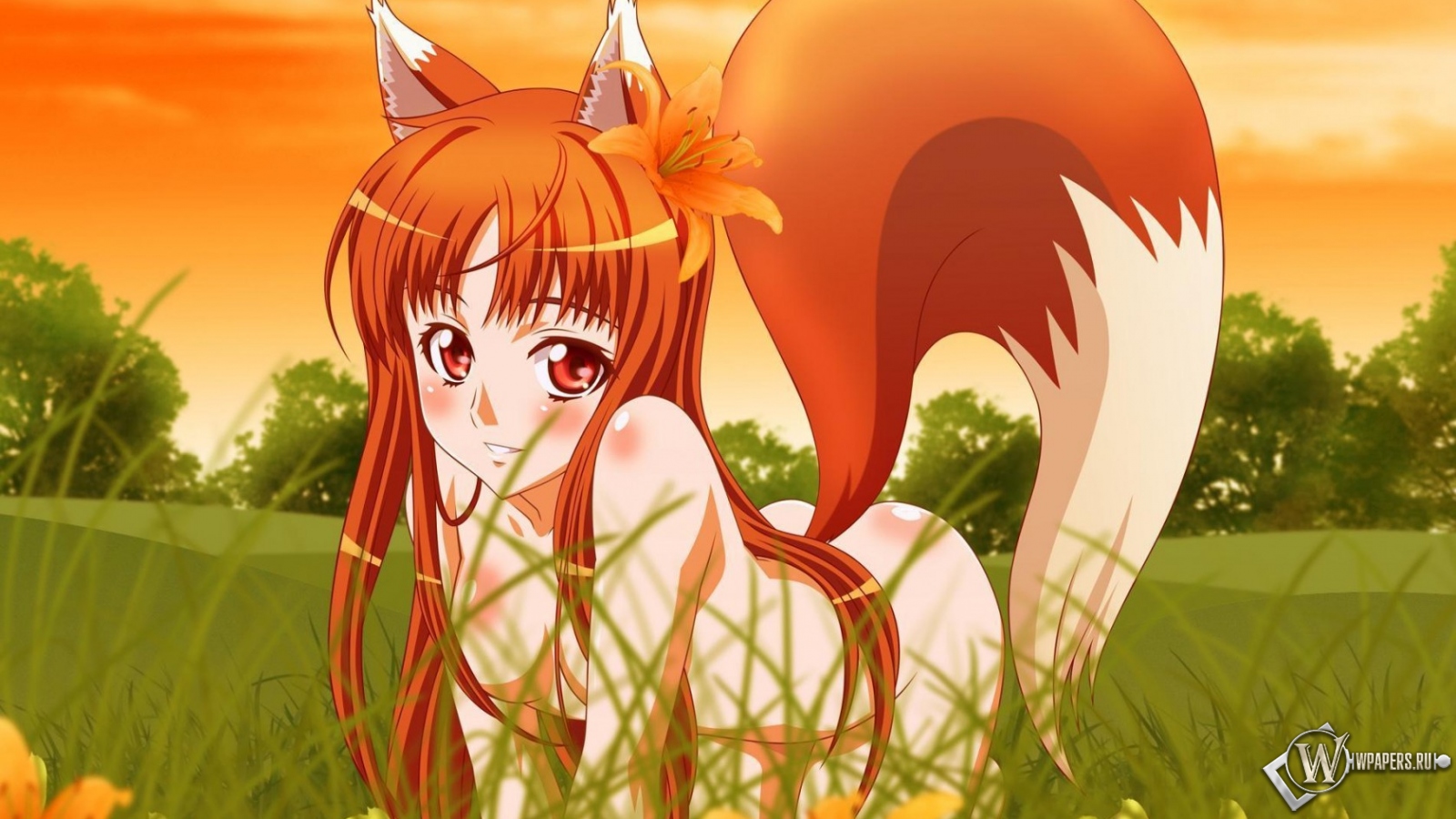 Anime fox girl 1600x900