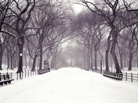 Обои Центральный парк Нью-Йорк: Зима, Снег, Город, Аллея, Города