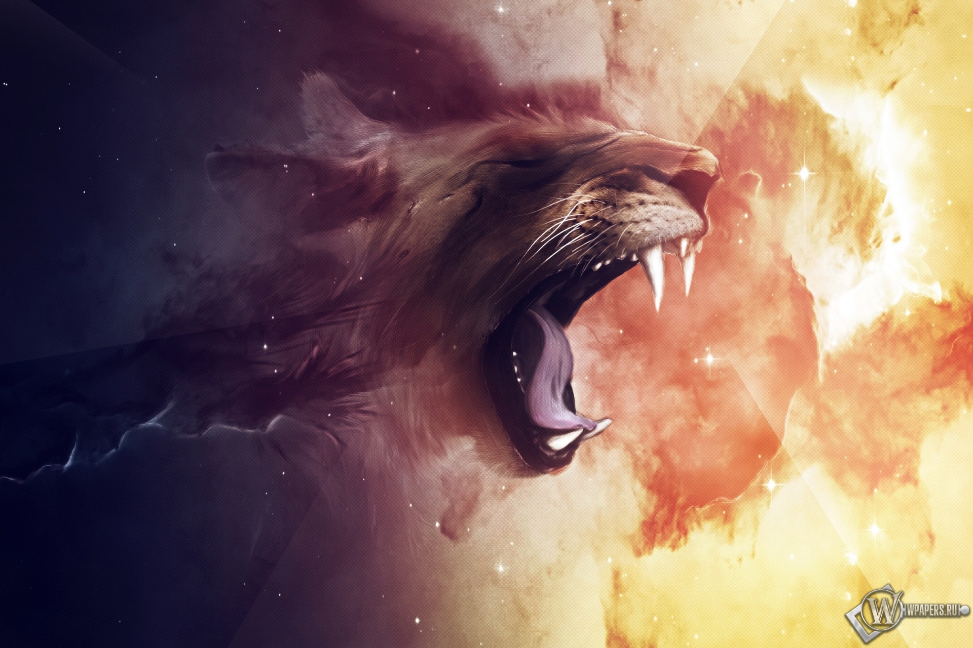 Abstract lion 1920x1280