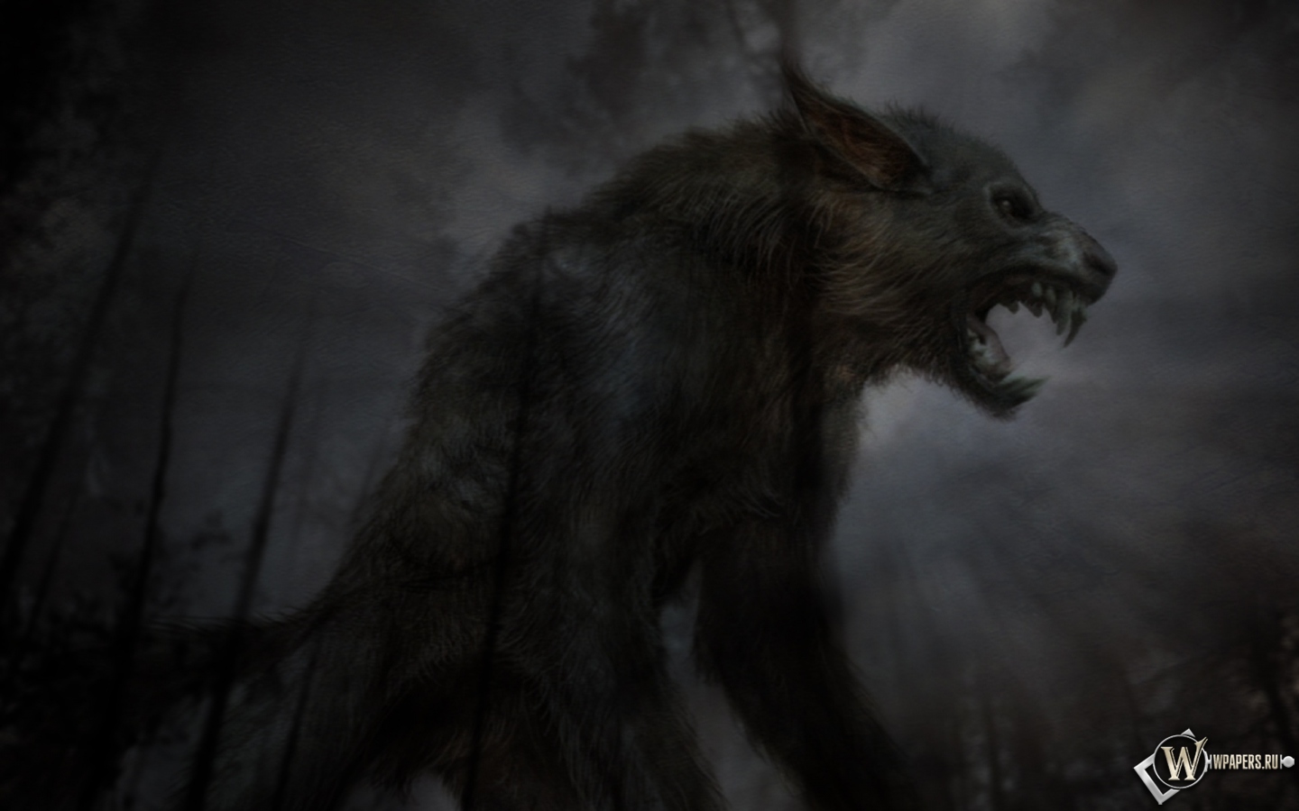 Чёрный волк 1440x900