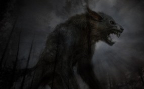 Обои Чёрный волк: Лес, Ночь, Оборотень, Фэнтези