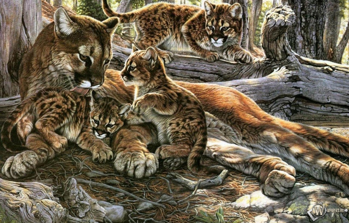 Картина пума с котятами 1200x768
